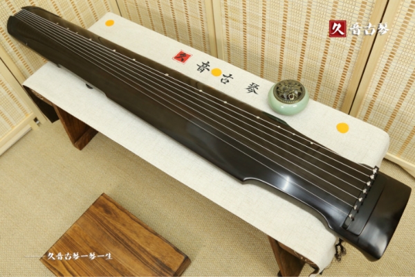 惠州市初级演奏古琴【仲尼式】